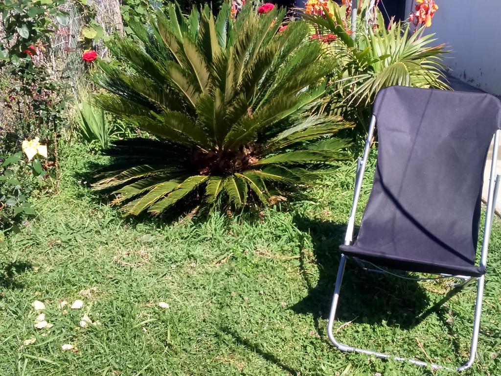 Canto Da Manu Estreito Da Calheta Exterior foto